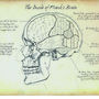 Personalised Inner Workings Of Your Brain Print, thumbnail 7 of 12