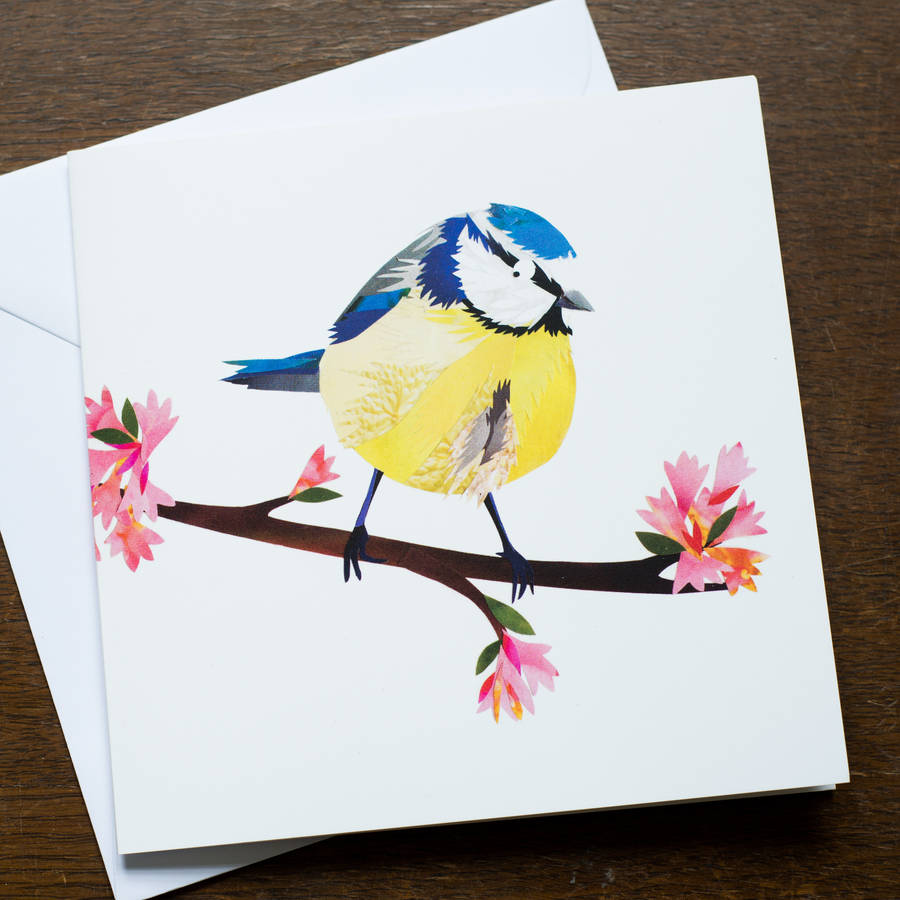 Blue Tit Blossom Greetings Card By Kate Slater