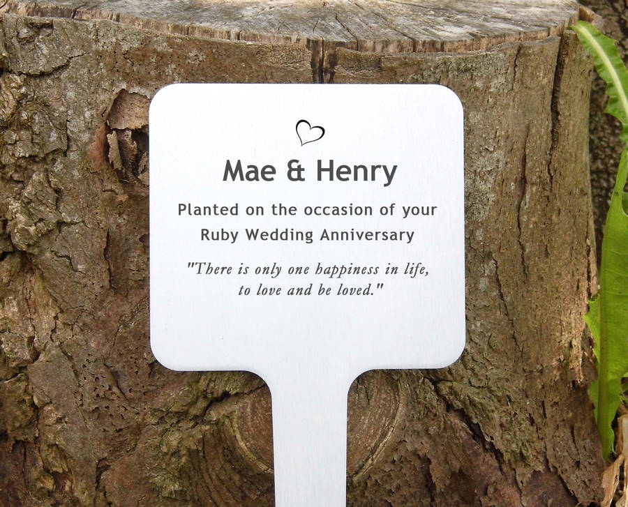 personalised pet outdoor signgarden plaque by keepstakes personalised pet outdoor signgarden plaque by keepstakes