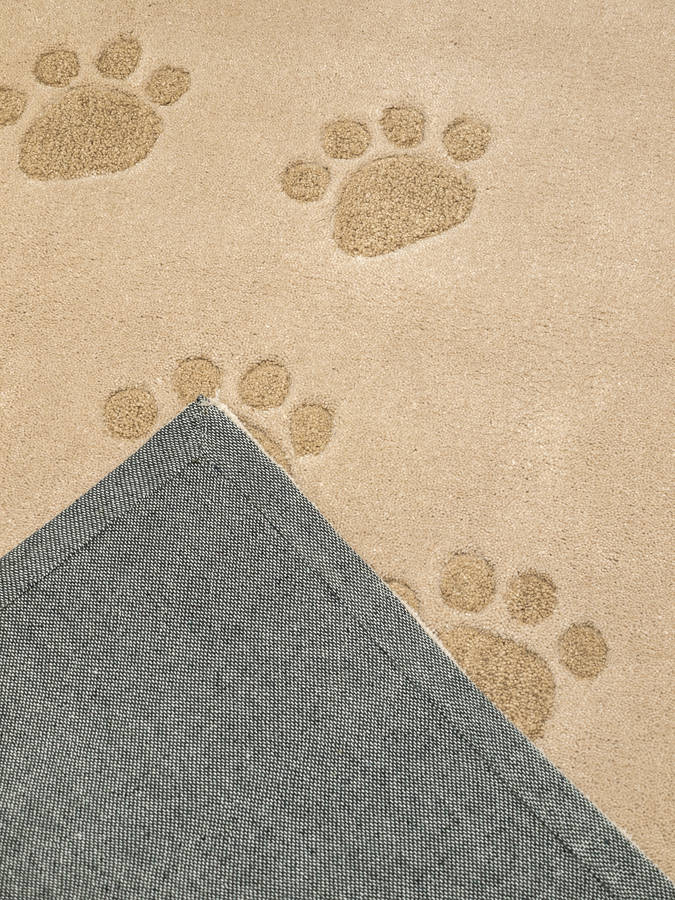 Children's Rugs Paw Prints By Cotswold Mat Company