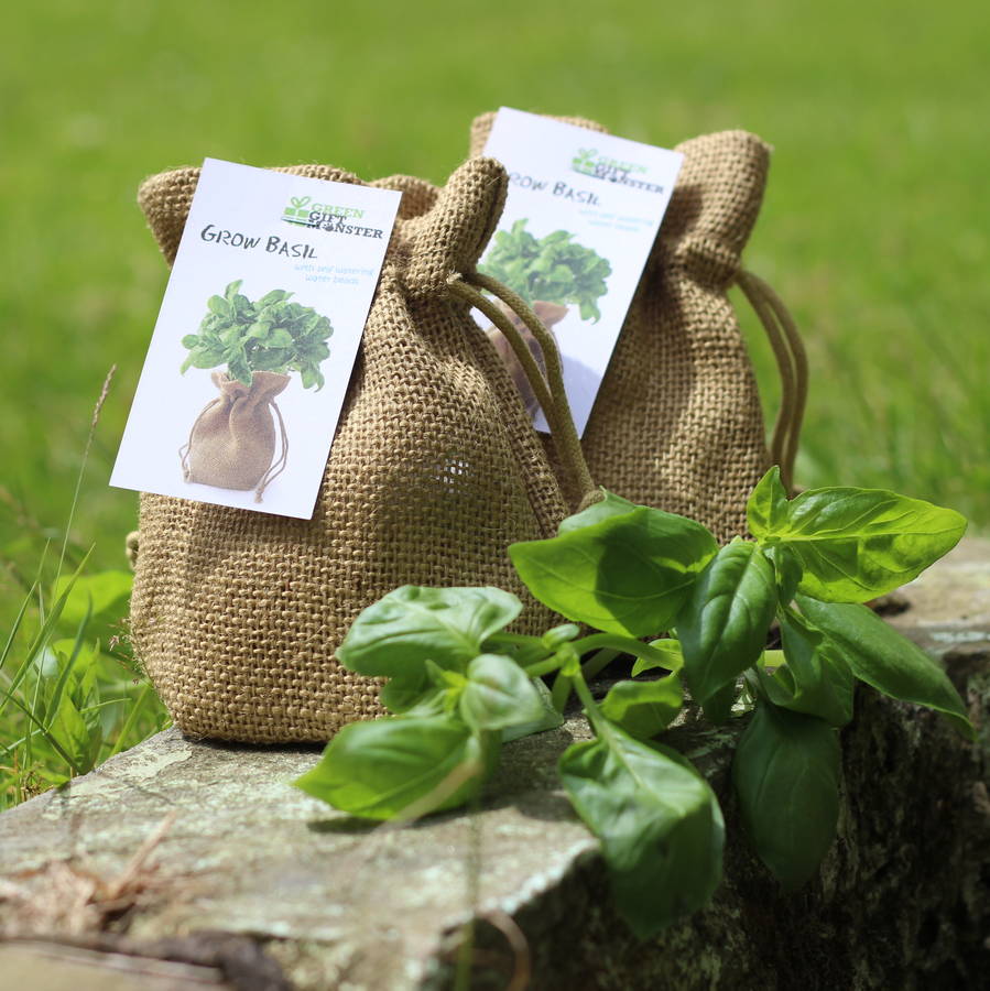 basil jute bag grow set by beecycle