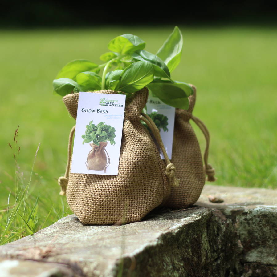 basil jute bag grow set by beecycle