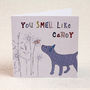 Dog And Butterfly Valentine's Day Card, thumbnail 1 of 2