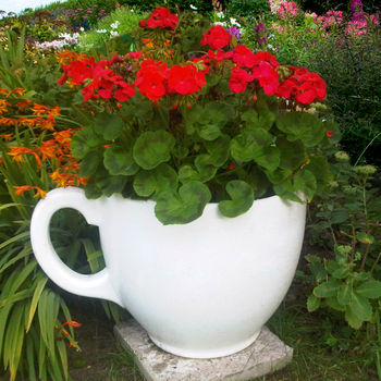 Tea Cup Planter, 2 of 3