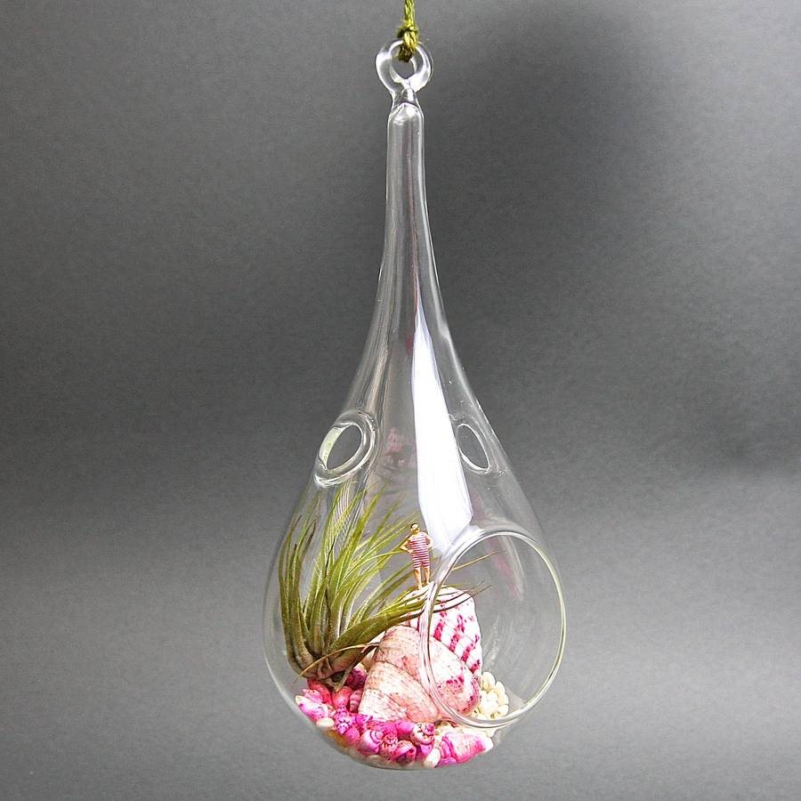hanging terrarium kit the bather by london garden trading