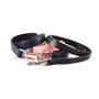 Classic Leather Dog Leads, thumbnail 1 of 6