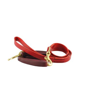 Classic Leather Dog Leads, 2 of 6