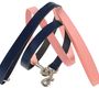 Classic Leather Dog Leads, thumbnail 5 of 6