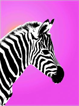 Gleaming Zebra, Canvas Art, 4 of 4