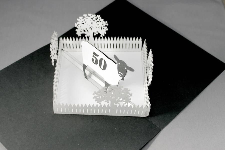 personalised name and age pop up sheep birthday card by paperfiction | notonthehighstreet.com