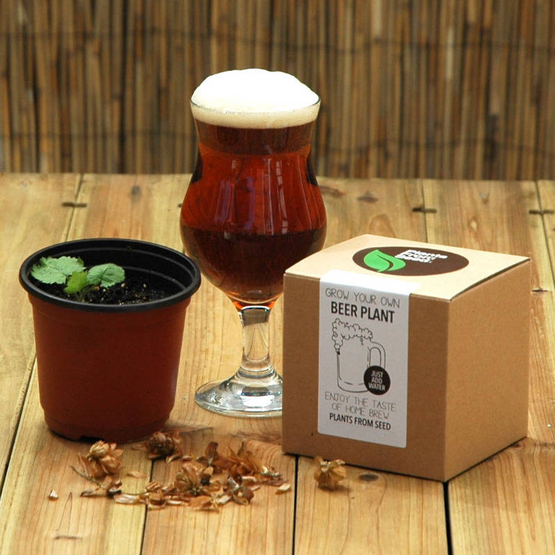Grow Your Own Beer Plant Kit, 1 of 2