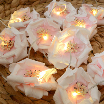 rose fairy lights by home & glory | notonthehighstreet.com