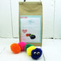 Pom Pom Pets Craft Kit Rainbow Caterpillar, thumbnail 1 of 2