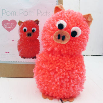 Pom Pom Pets Craft Kit Pig, 3 of 3