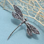 Sterling Silver Dragonfly Brooch, thumbnail 1 of 5