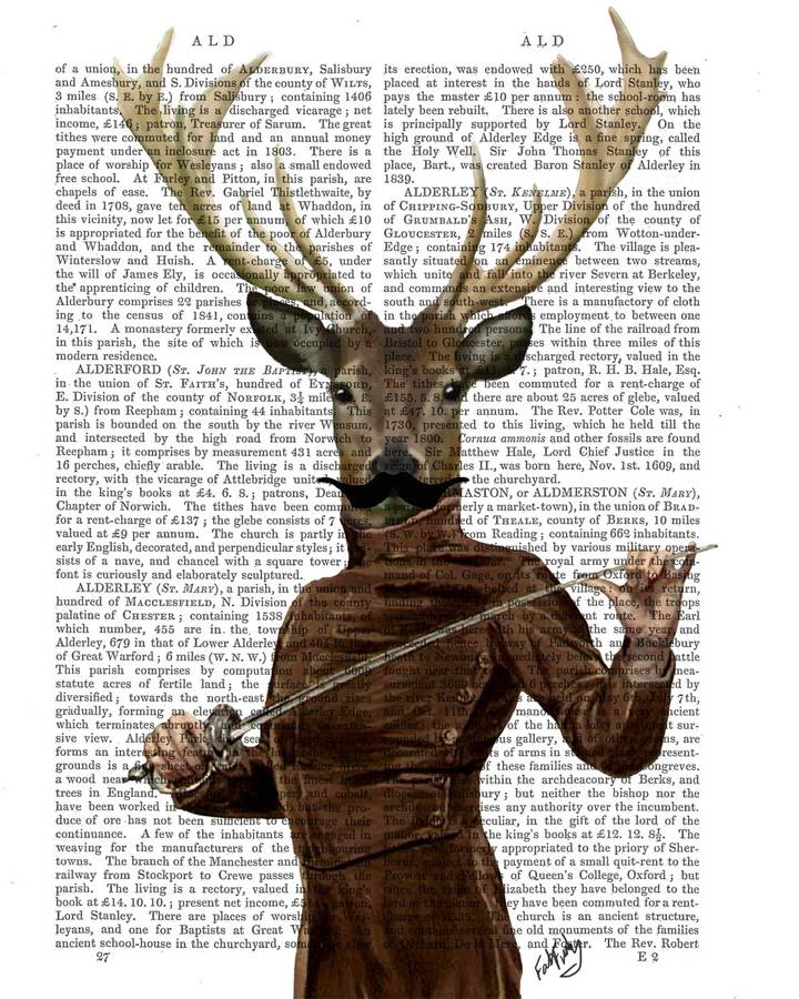 deer collection four dictionary prints by fabfunky home decor ...