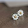 Sterling Silver Daisy Ear Studs, thumbnail 1 of 11