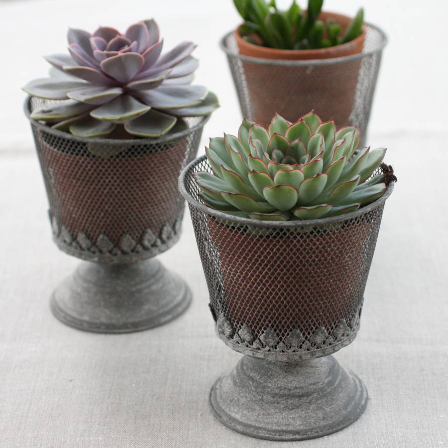 Wire Planter By Magpie Living