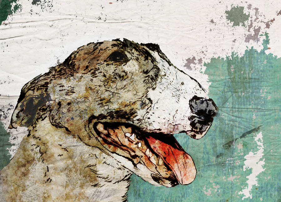 Bull Terrier Limited Edition Signed Print, 1 of 2