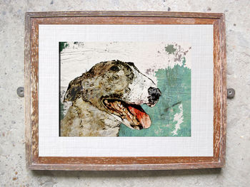 Bull Terrier Limited Edition Signed Print, 2 of 2