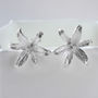 Sterling Silver Lily Flower Star Stud Earrings, thumbnail 2 of 7