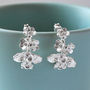 Sterling Silver Forget Me Not Cluster Stud Earrings, thumbnail 1 of 8