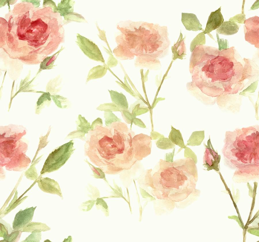 Spring Rose Peach Wallpaper By Snuugle | notonthehighstreet.com