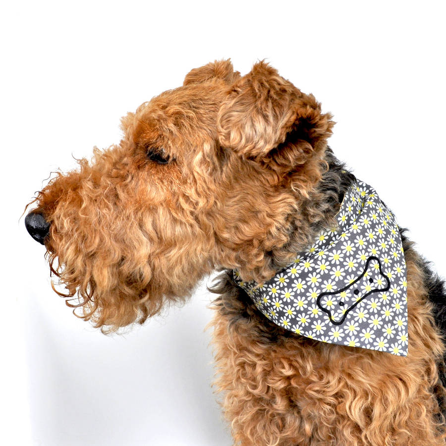 bone print dog neckerchief by edwyn uk