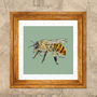 The Honey Bee Signed Print, thumbnail 1 of 1