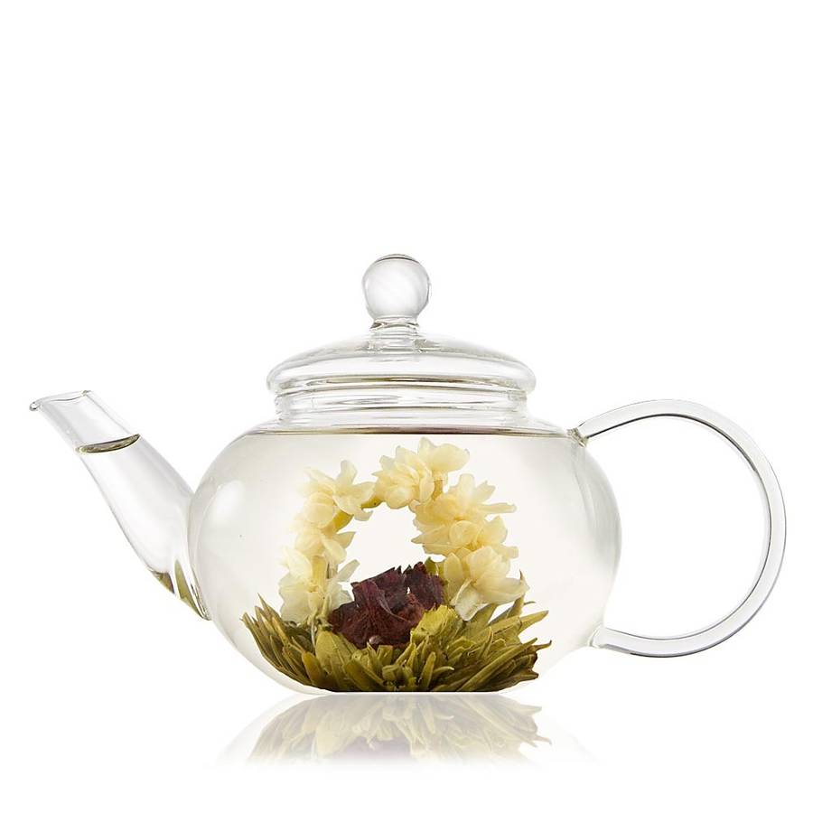 classic glass teapot with infuser by the exotic teapot