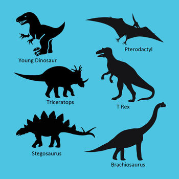 Adult's Personalised Dinosaur T Shirt, 7 of 10
