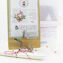 Christmas Stars Cookie Decorating Kit By Chips & Sprinkles