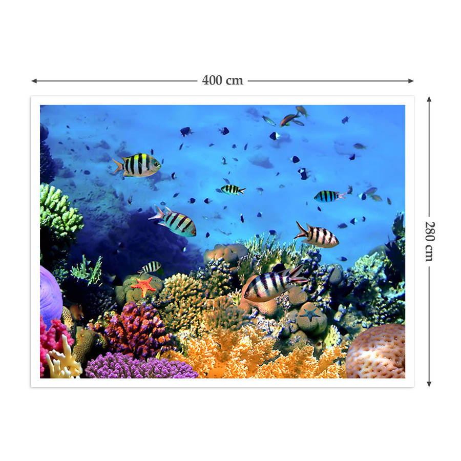 coral reef self adhesive wallpaper by the binary box ...