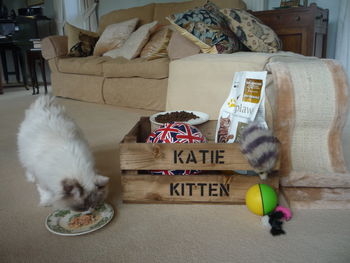 Pesonalised Crate For Cats Or Dogs, 7 of 7