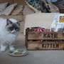 Pesonalised Crate For Cats Or Dogs, thumbnail 6 of 7