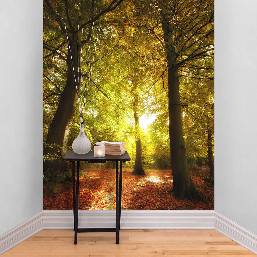 autumn tree forest self adhesive wallpaper by the binary box