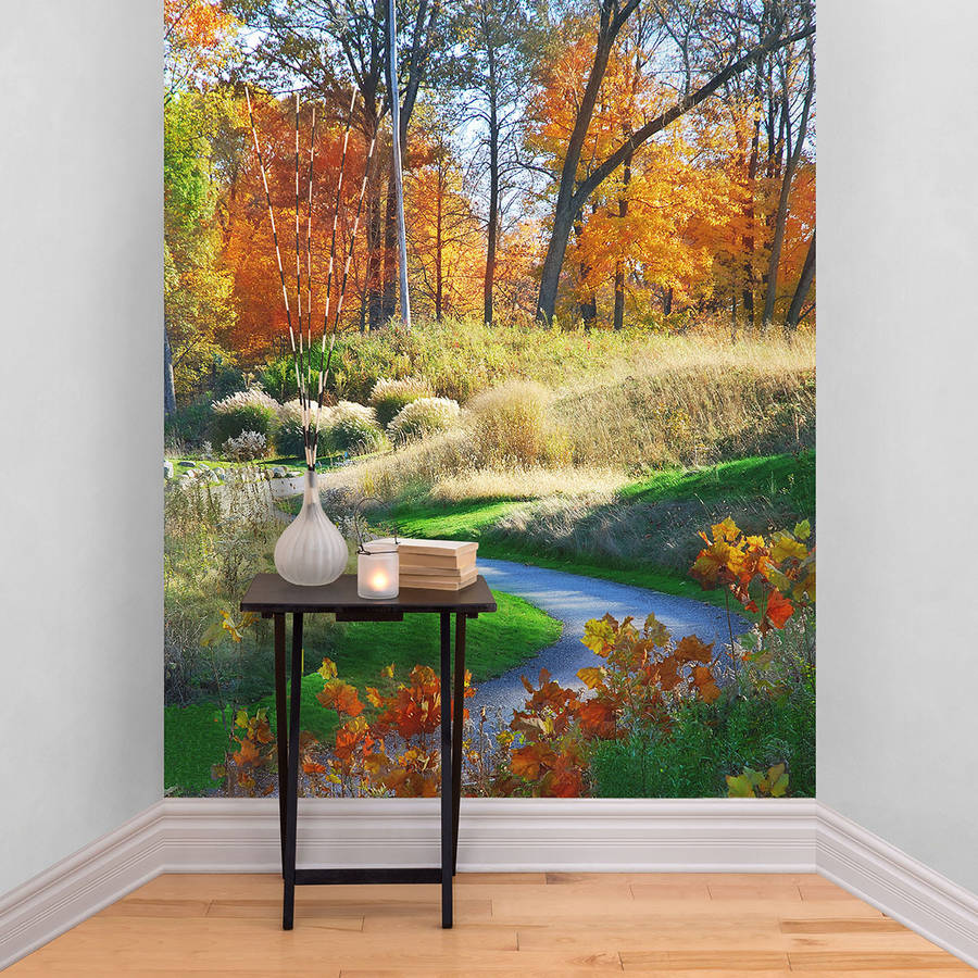 autumn scene path self adhesive wallpaper by the binary box