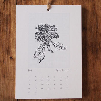 Botanical Field Notes Month View Calendar, 2 of 2