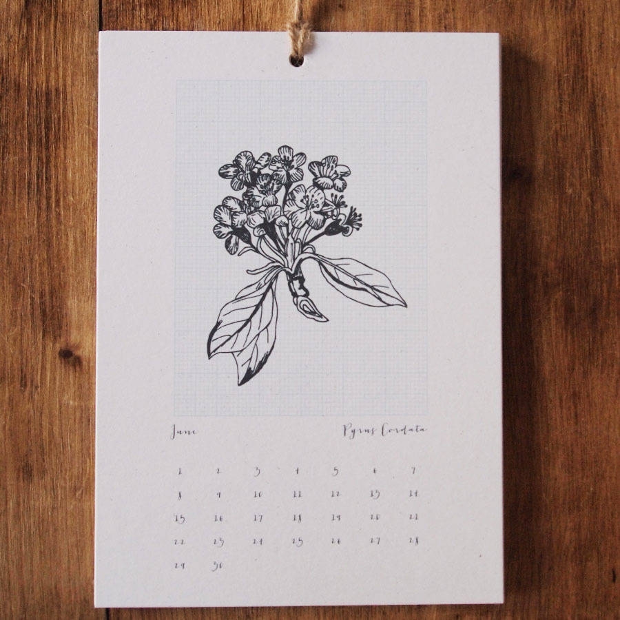 Botanical Field Notes Month View Calendar By Alfie's Studio