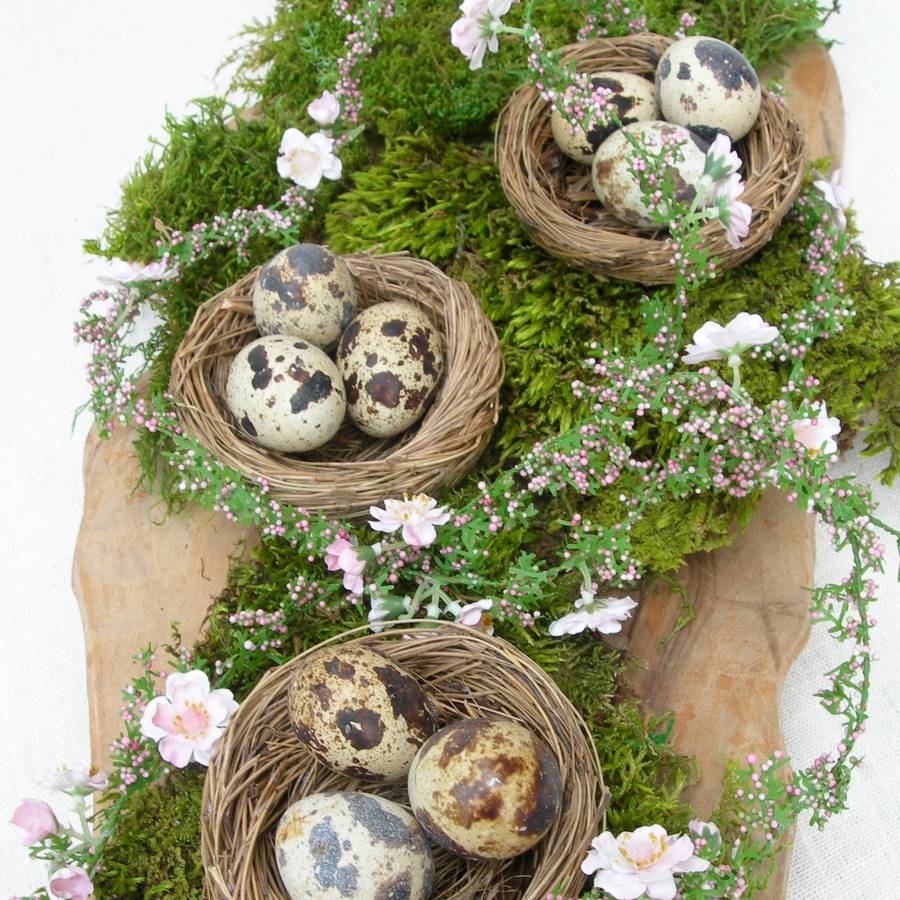 set of three natural decorative birds nests by just add a dress
