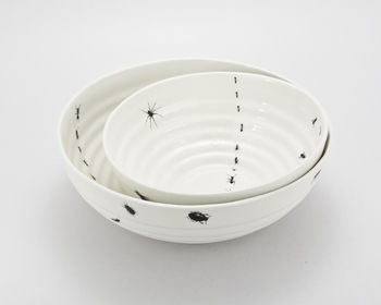 Bowl With Insects, 10 of 12