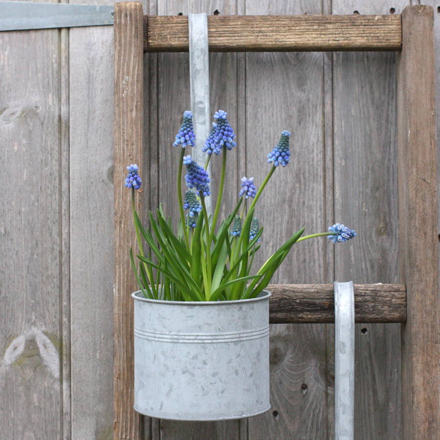 zinc hanging plant pot by magpie living
