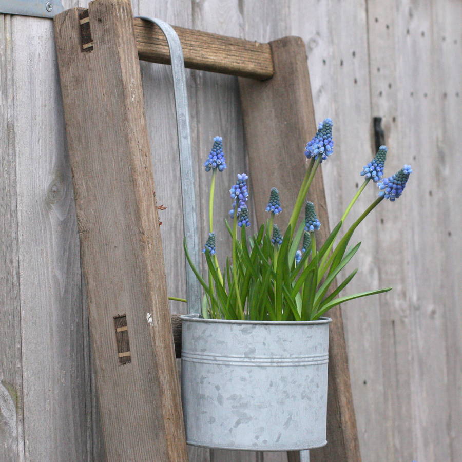zinc hanging plant pot by magpie living