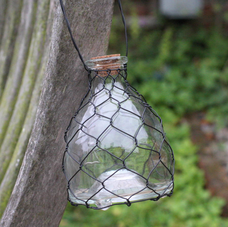 glass wasp trap by magpie living