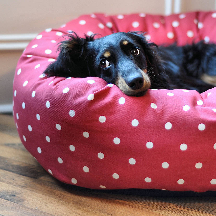 la doggie vita donut bed