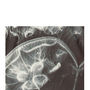 Unisex Monochrome Black Jellyfish Printed T Shirt Tee, thumbnail 2 of 3