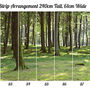Woodland Forest Self Adhesive Wallpaper, thumbnail 3 of 4