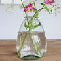Dew Drop Glass Vase, thumbnail 2 of 2