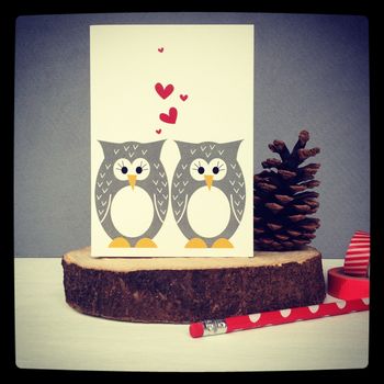 Mr And Mrs Owl Wedding Anniversary And Valentines Card, 6 of 9