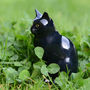 Lucky Black Cat, thumbnail 4 of 5